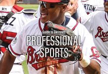 Guide To Gwinnett: Professional Sports