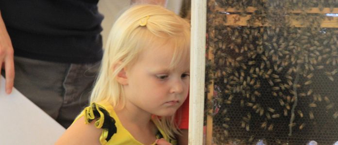 Gwinnett Environmental and Heritage Center Celebrates the Vital Role of Honeybees at Annual Festival