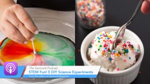 Making STEM Fun! 5 DIY Science Experiments to Try This Winter Break ...