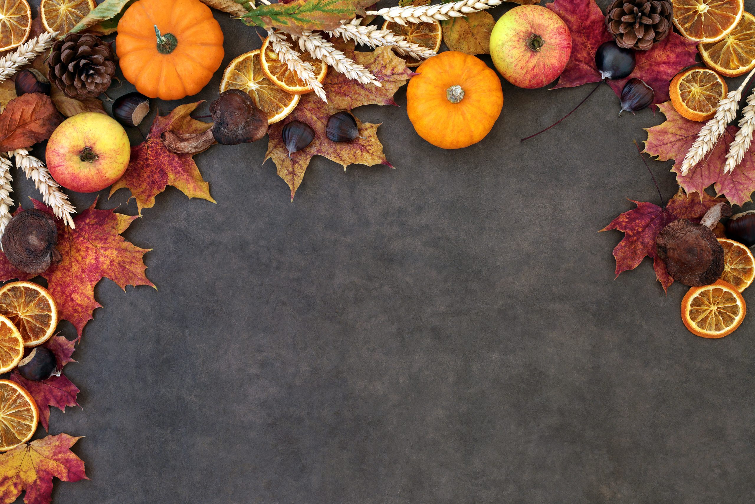 Fall Food Facts Gwinnett Magazine