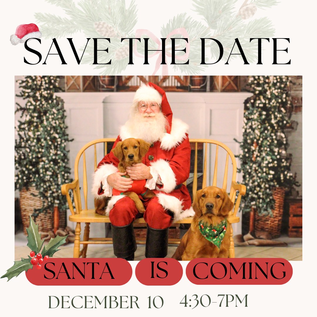 Puppy and Santa Promo Image