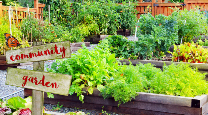 Leaf Your Mark at Bethesda!