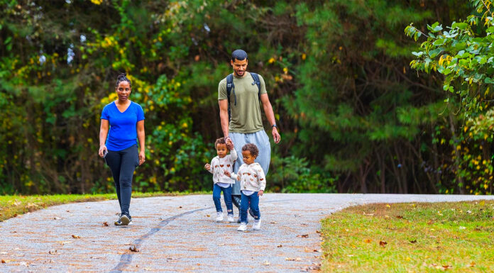 Nature’s Playground Awaits!