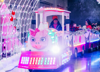 Tree-mendous Holiday Fun Awaits!