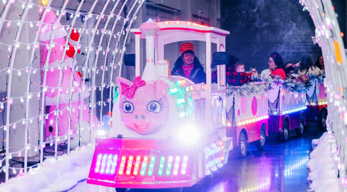 Tree-mendous Holiday Fun Awaits!