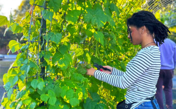 Get Your Greens (and Your Steps) in Gwinnett