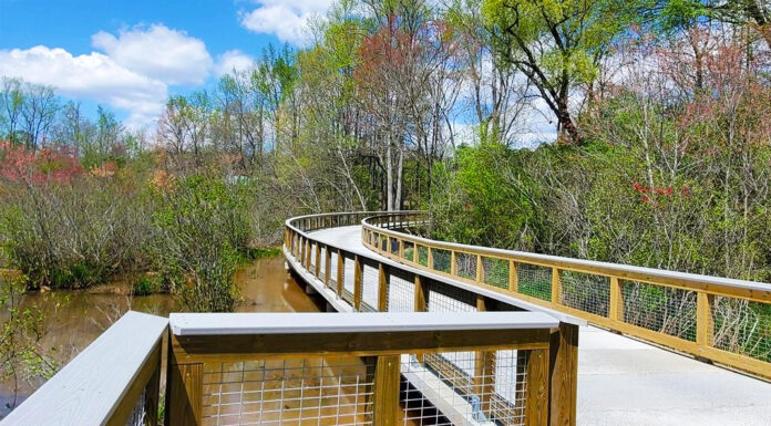 40 Years, One Epic Park Quest!